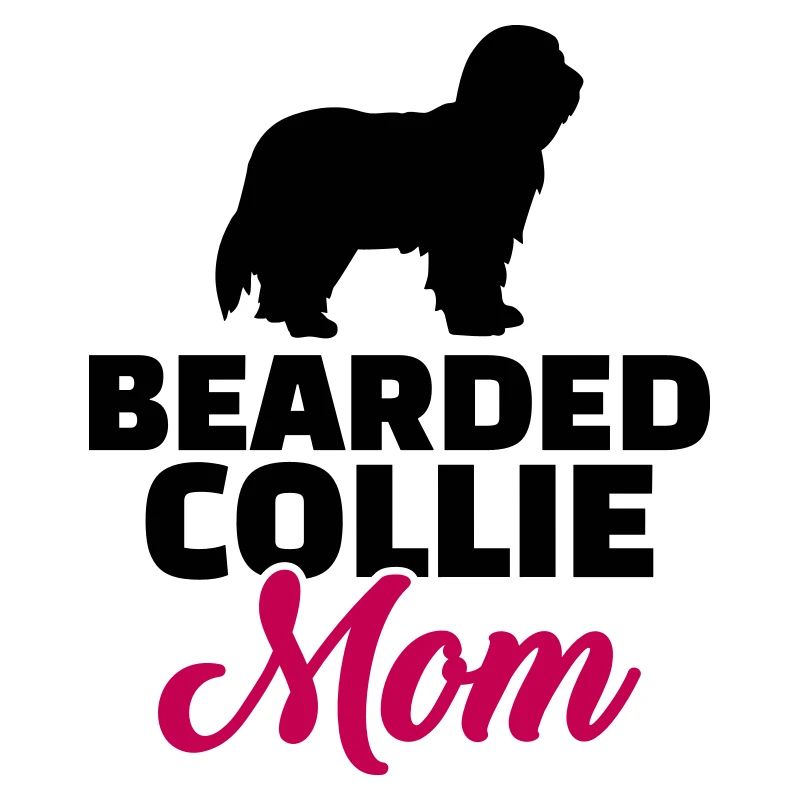 Bearded Collie