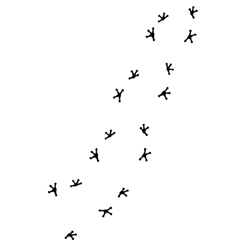 Gecko spur taps run crawl