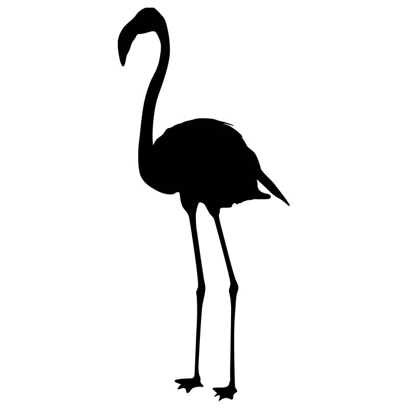 Flamants roses 6