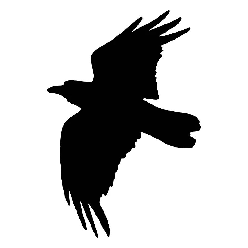 raven
