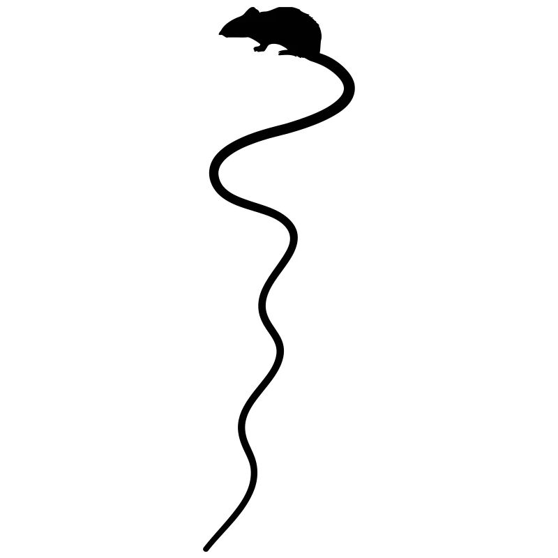 Rat rat tail Hamelin disgust horror 1c