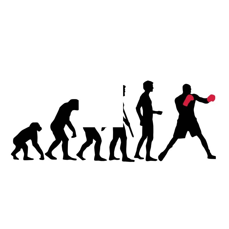 evolution_boxen_b_2c