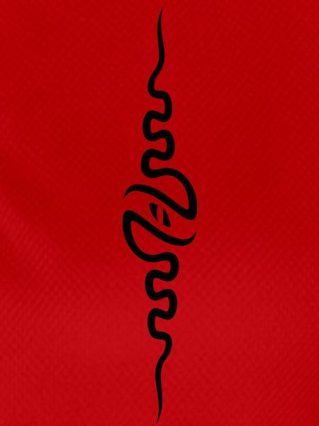 spine_front