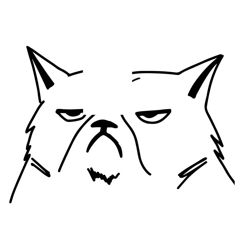 grumpy cat