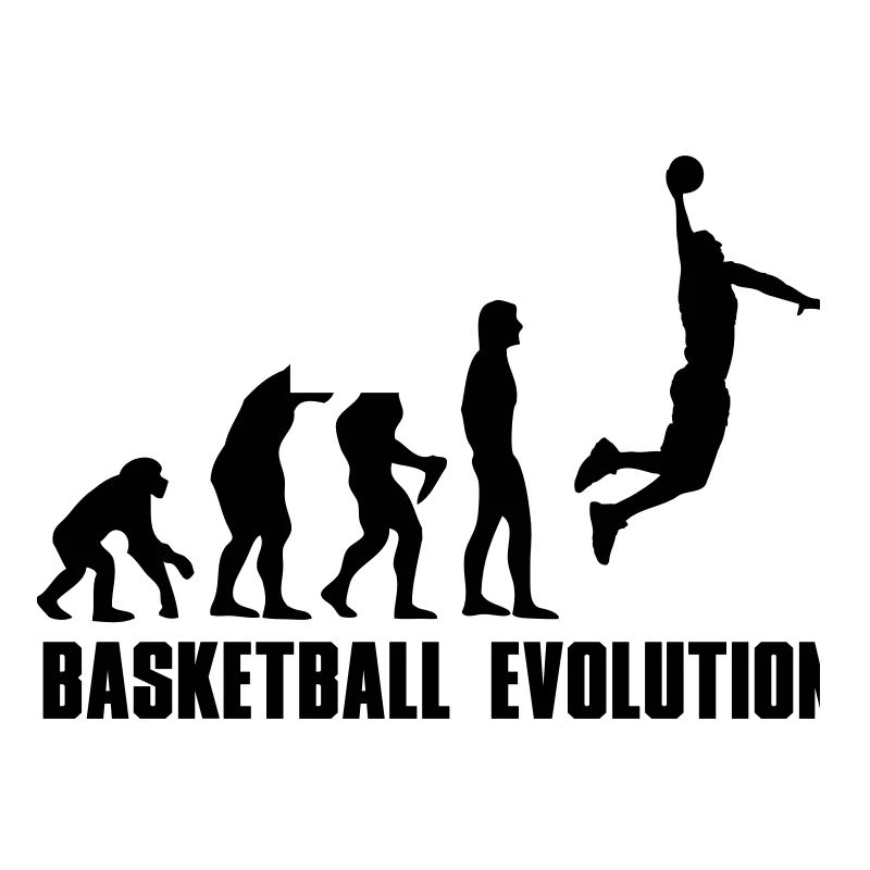 Evolution Basket Dunk