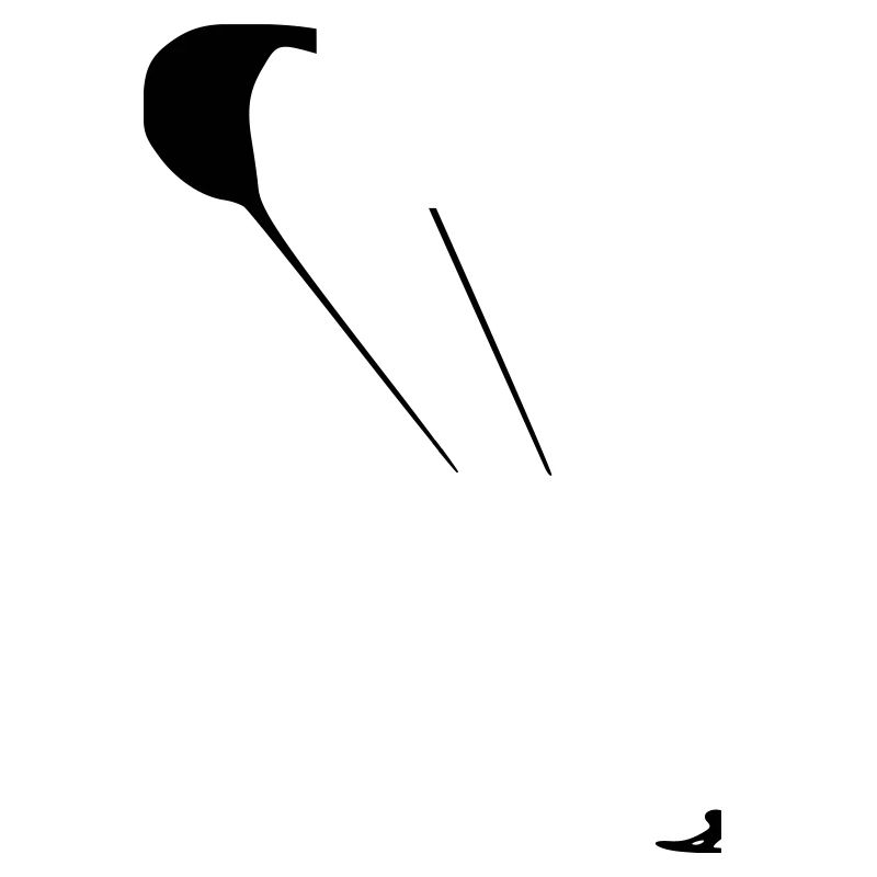Kite Surfing
