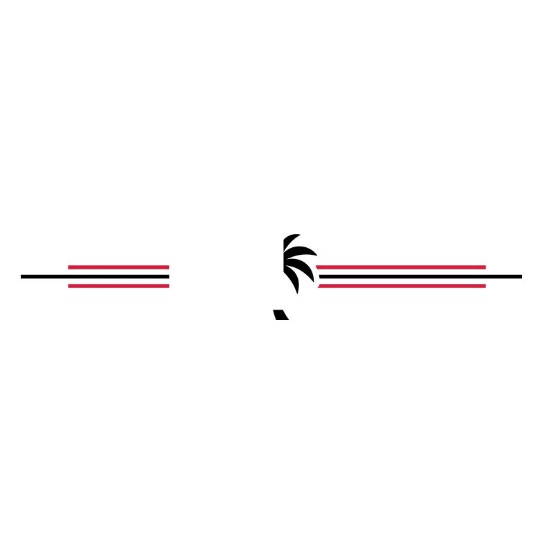Palm Tree Icon