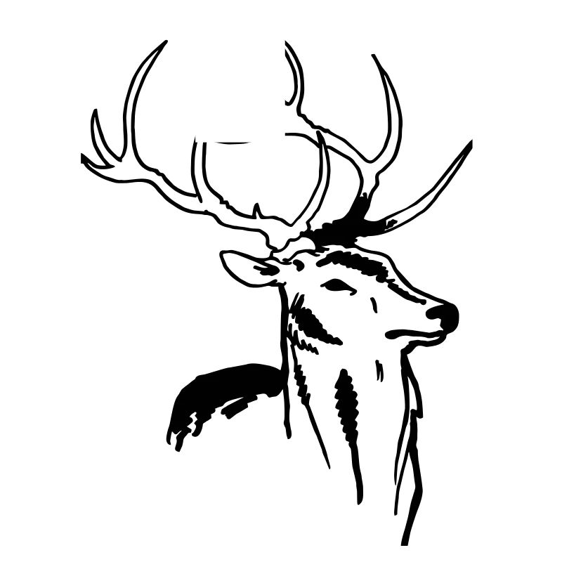 Hirsch