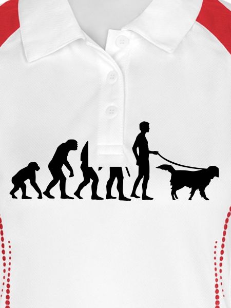 evolution_dog