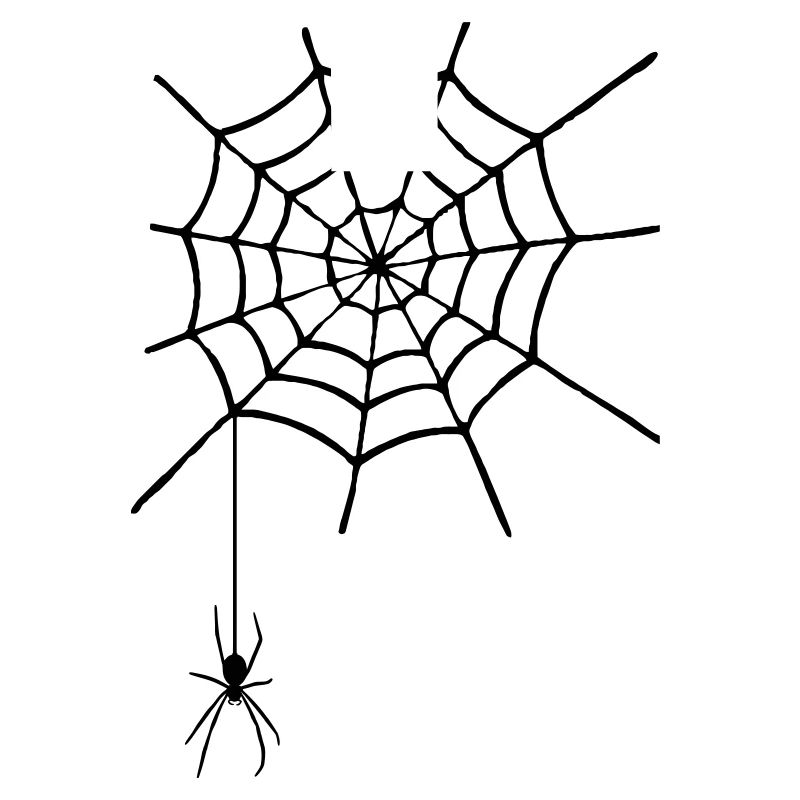 Cobweb with spider