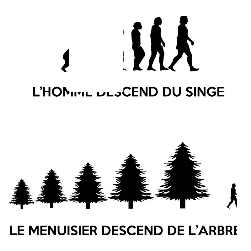 Evolution du menuisier