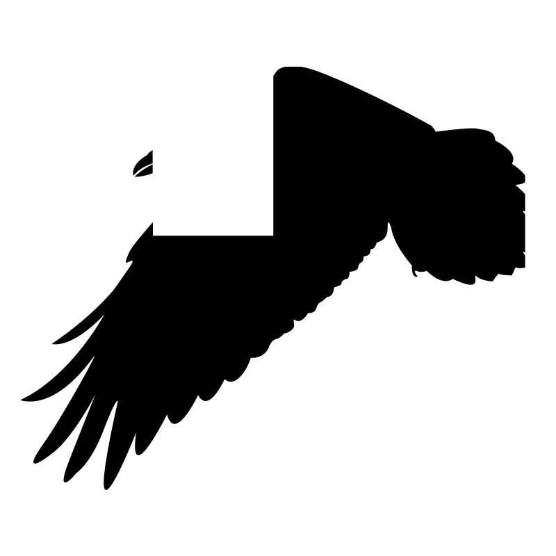 Corbeau noir