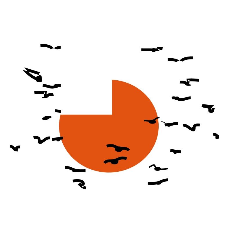 Oiseaux dans le soleil