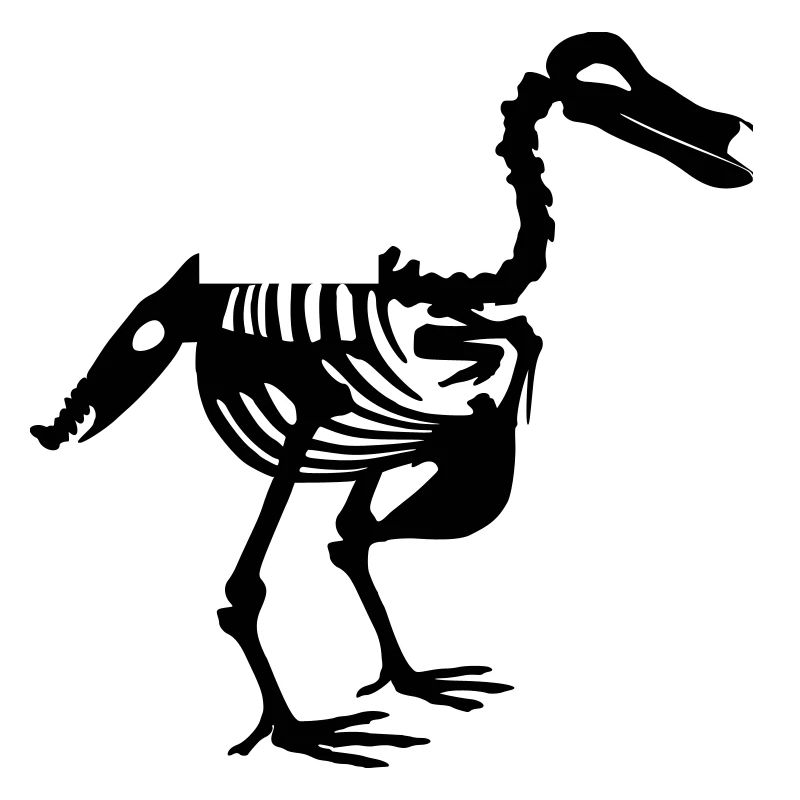 Dodo