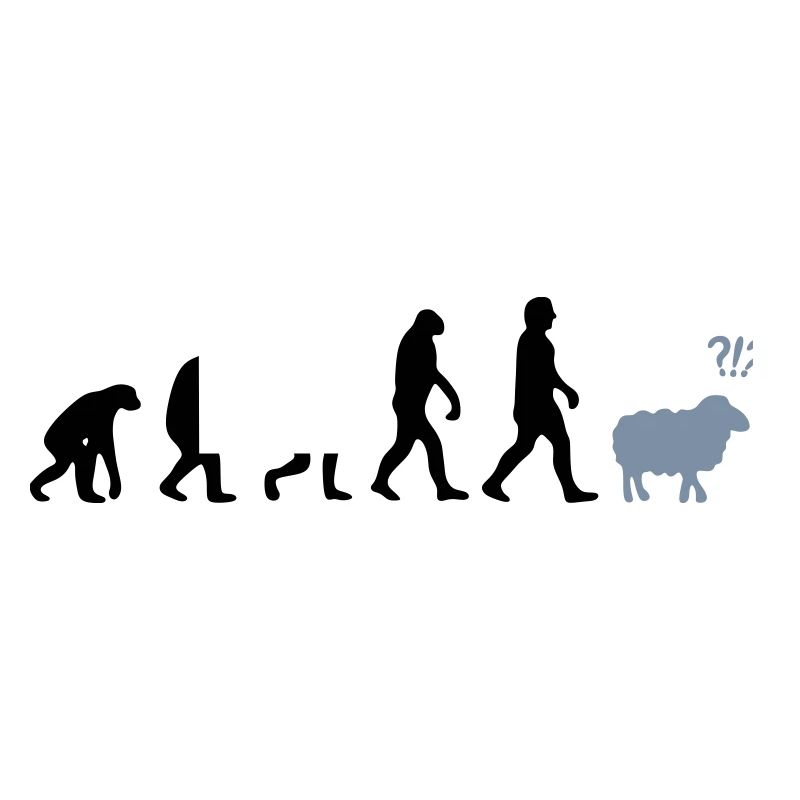 evolution mouton