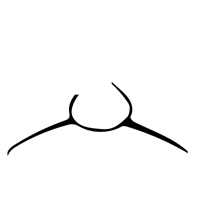 requin