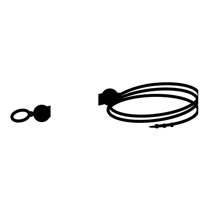 Peitsche + eigener Text