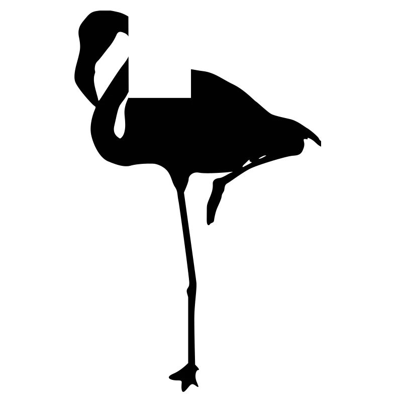 Flamants roses