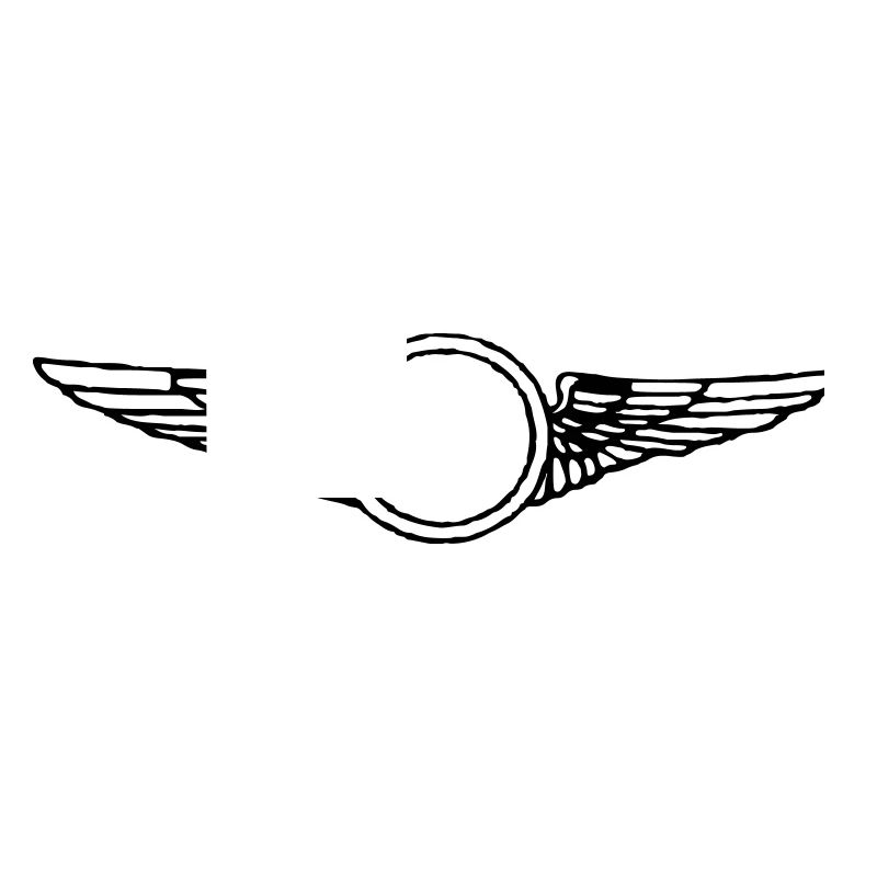 wing_vec_1 fr