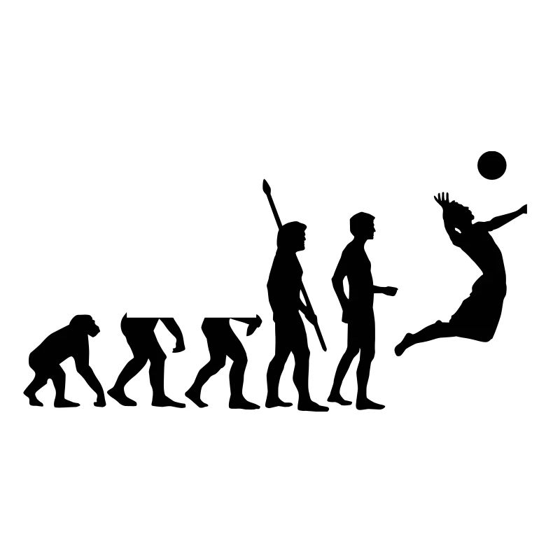 evolution_volleyball