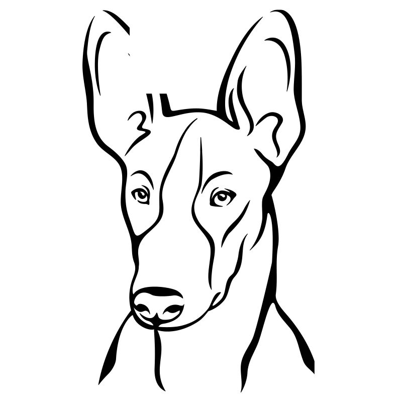 Podenco