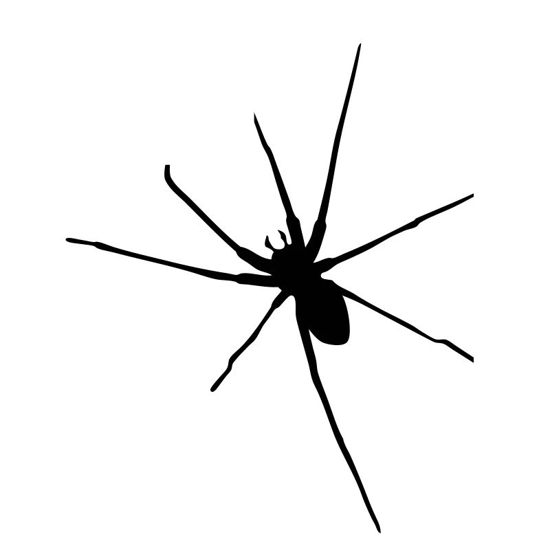 spider spider halloween insect arac vintage