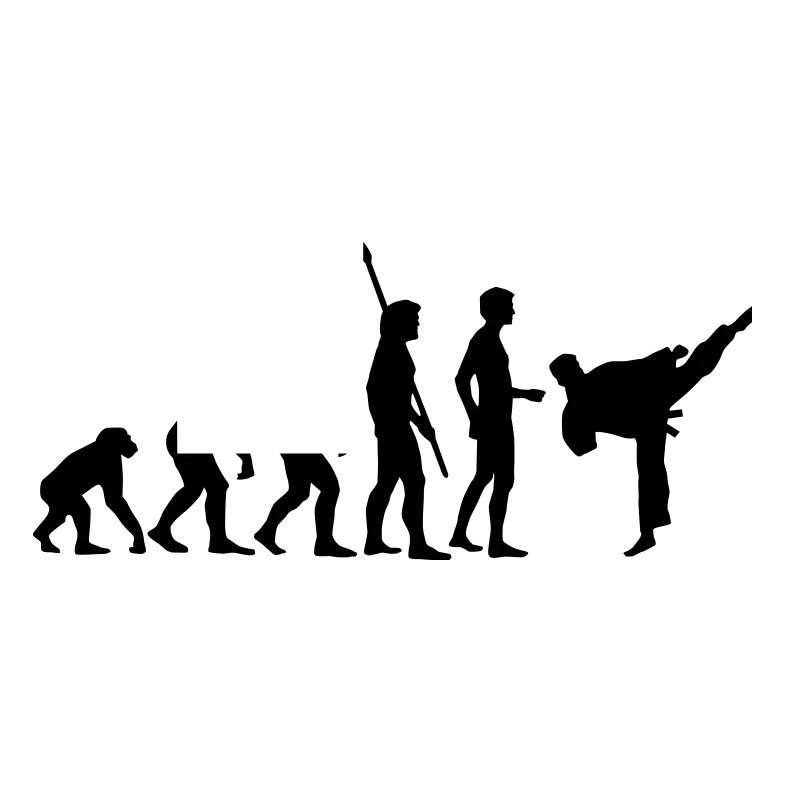 evolution_kampfsport