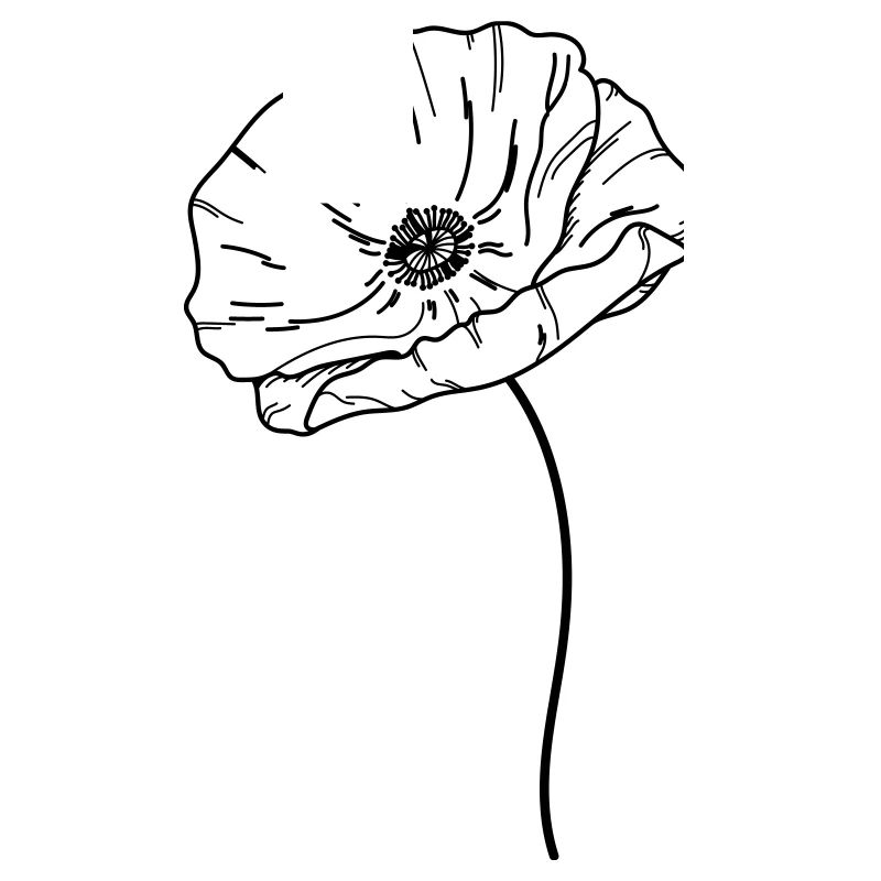 Fleur de coquelicot 21 Plan de travail 13