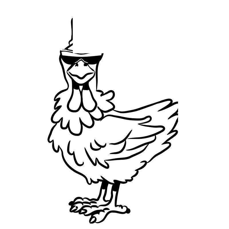 Lunettes de soleil de poulet