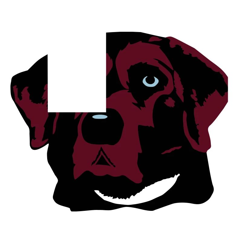 Labrador braun, blond oder schwarz