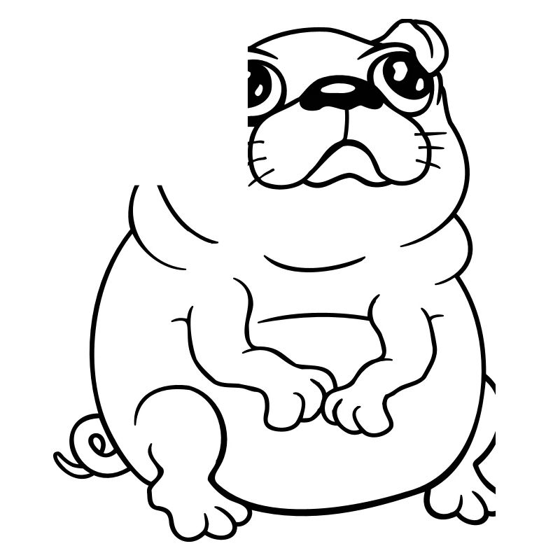 Pug dog sits small begging dick looks sad