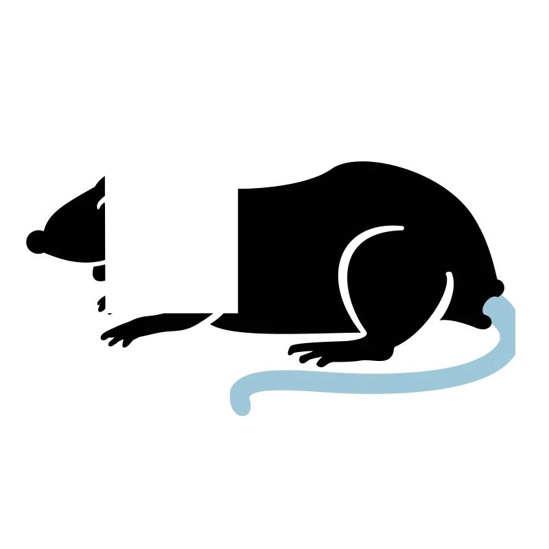 raton / rat (2c)