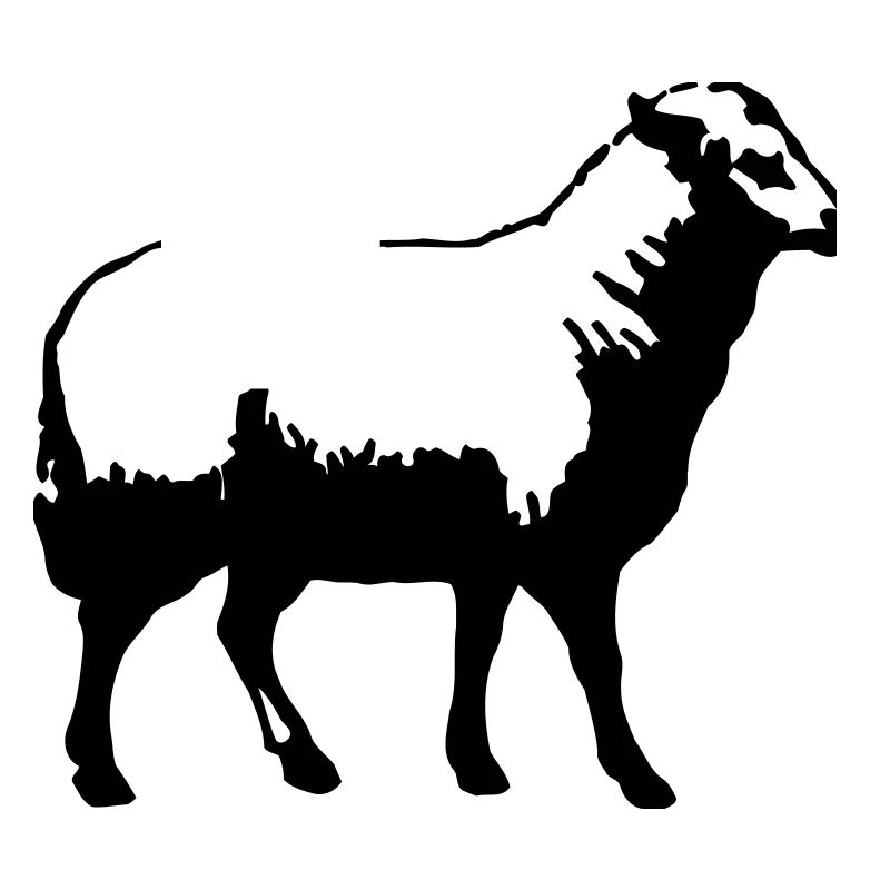 mouton