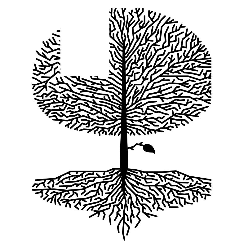 Laubbaum Krone Wald Eiche Buche Natur Linde Äste