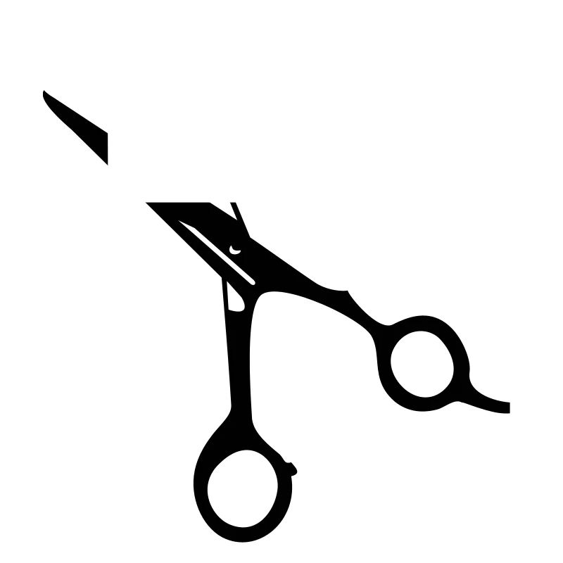 ciseaux de coiffeur / scissors (1c)