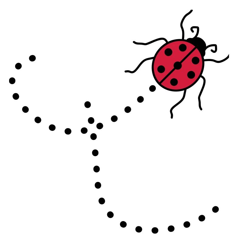 line dashed path path ladybug small sues