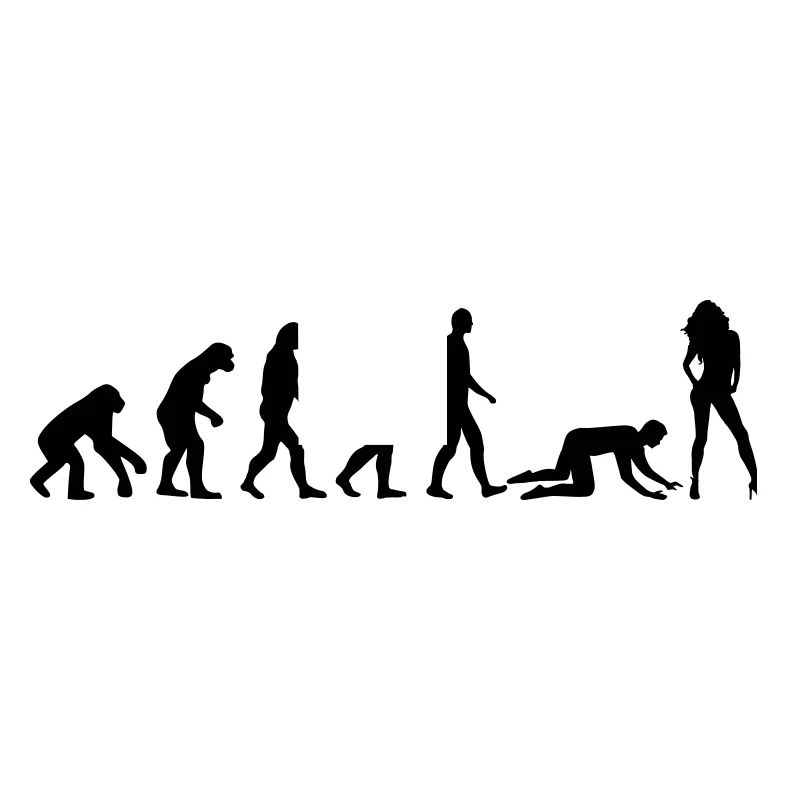 Evolution Ehe