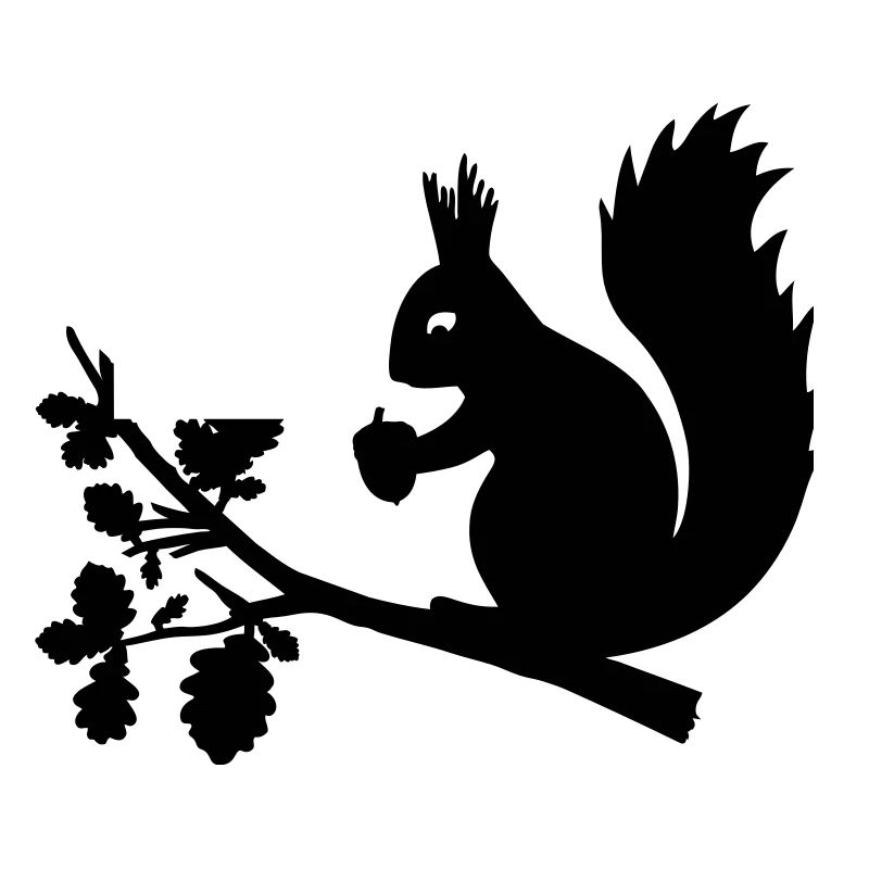 Eichhörnchen Eichel Zweig Eiche Blätter Baum Wald