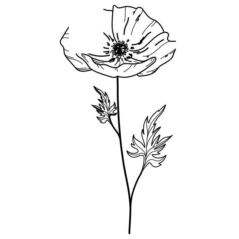 Fleur de coquelicot 13 Plan de travail 5