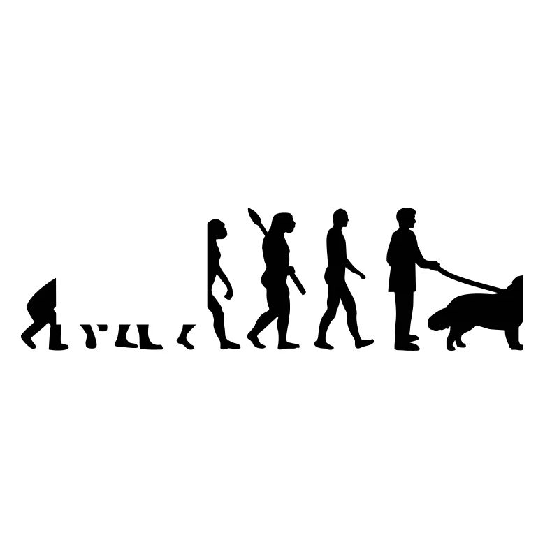 Evolution Newfoundland