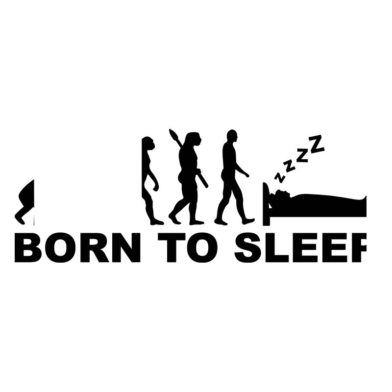 Evolution Dormir