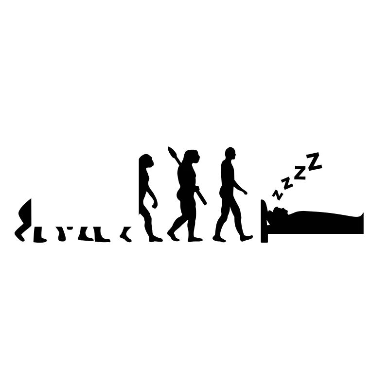 Evolution Dormir