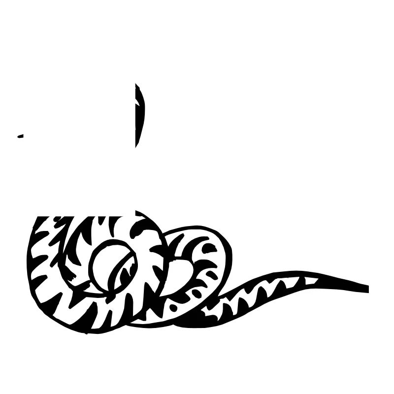 wąż