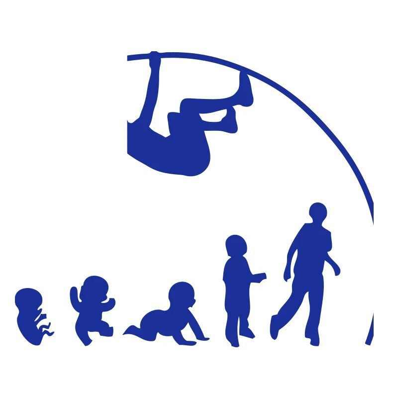 evolution saut perche