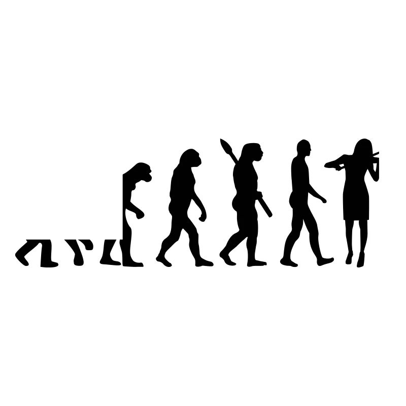 Evolution Violin Fiddle