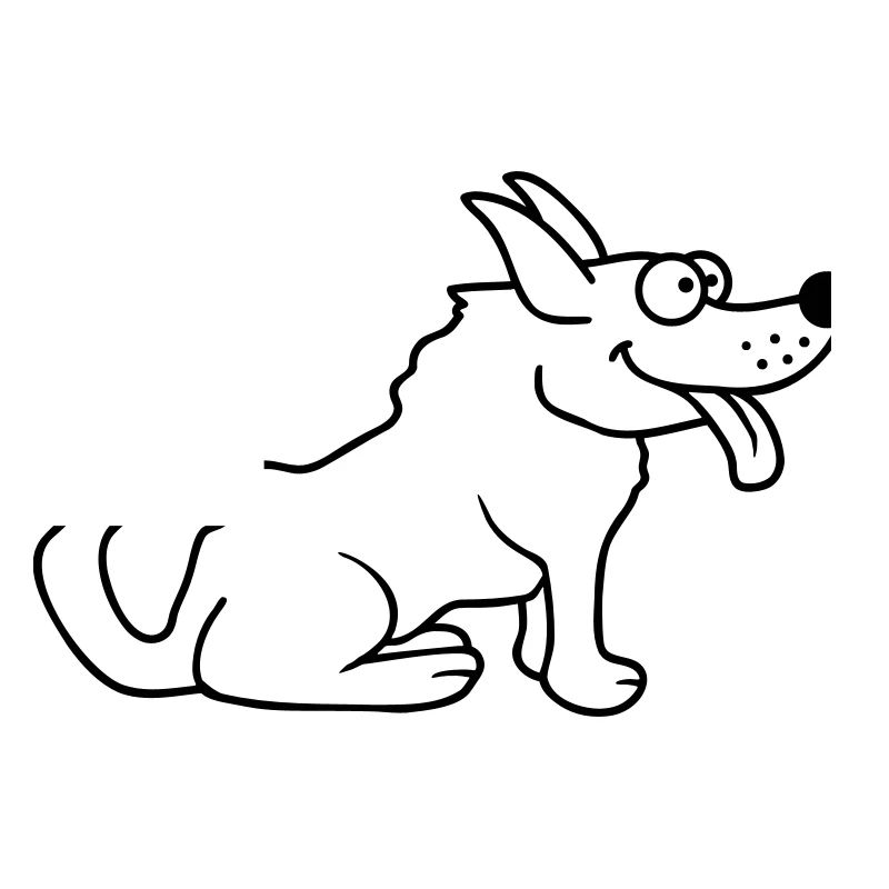 Cher chien tire la langue joyeusement