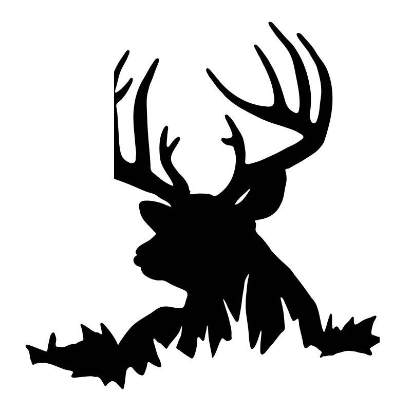 hirsch