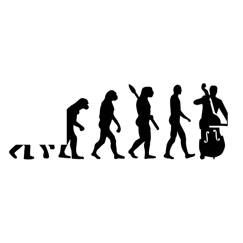 Evolution Contrabass