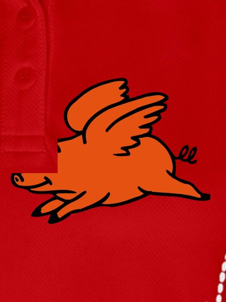 Flying Pig