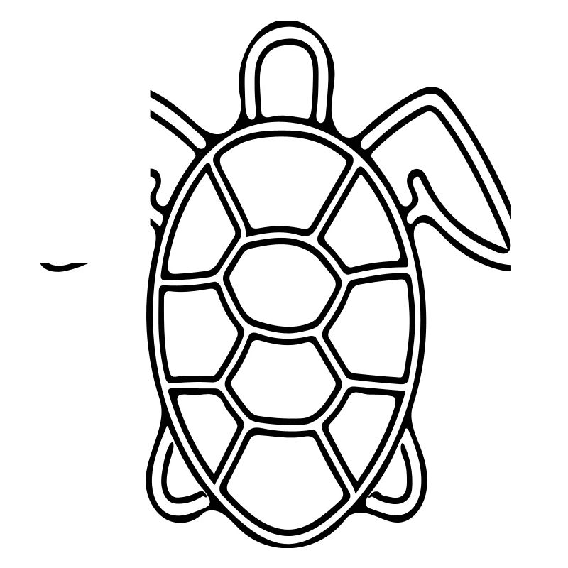 Vector Schildkröte